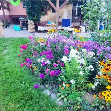 In The Blooming Garden - Yellow