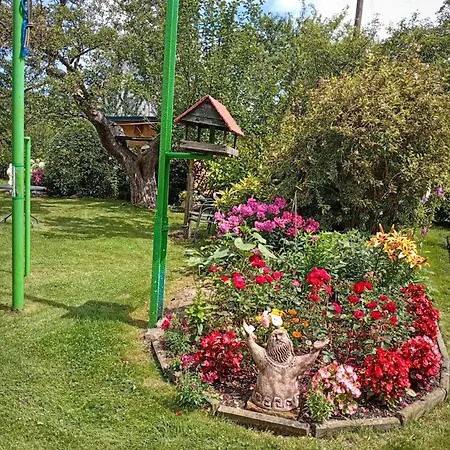 In The Blooming Garden - Yellow Nove Mesto pod Smrkem