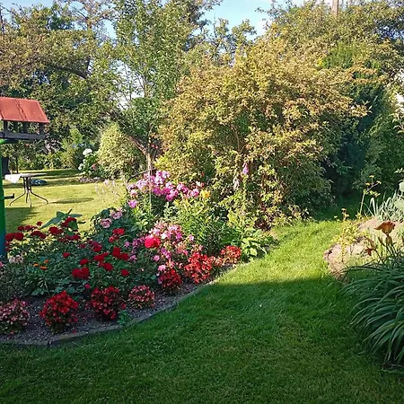 Apartamento In The Blooming Garden - Yellow
